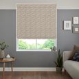 Pavard Roman Blind - Blush
