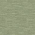 Popp Roller Blind - Fern