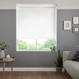 Puck Roller Blind - Cotton