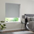 Renard Roller Blind - Light Grey