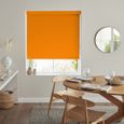 Renard Roller Blind - Orange