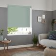 Renard Roller Blind - Spa