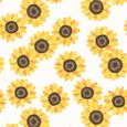 Skinny Dip Roller Blind - Summer Sunflower Yellow