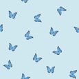 Clearance - Skinny Dip Curtain - Butterfly Blue - FSS14526