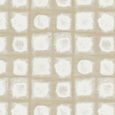 Nico Curtain - Oyster