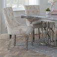 Lion Knocker Back Dining Chair - Champagne Velvet Fabric - Chrome Legs