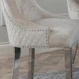 Lion Knocker Back Dining Chair - Champagne Velvet Fabric - Chrome Legs