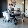 Darby Dining Chair - Curved Back - Set of 2 - Sand - Fabric and Metal