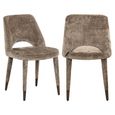 Cecilia Stone Chenille Fabric Dining Chair (Set of 2)