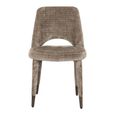 Cecilia Stone Chenille Fabric Dining Chair (Set of 2)
