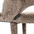 Cecilia Stone Chenille Fabric Dining Chair (Set of 2)