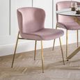 Harper Dining Chair - Set of 2 - Curved Back - Dusky Pink and Gold - Fabric and Metal