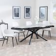 Apollo Extending Dining Set - 6-10 Seater - 160cm-220cm - Grey Ceramic - Darwin Dining Chair - Cream Fabric