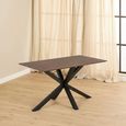 Heaven Dining Table - 4 Seater - 135cm - Rusty Brown Ceramic - with Star Legs