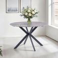 Talia Dining Table - 4 Seater - 120cm - Round - Spider Legs - Grey Sintered Stone
