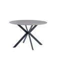 Talia Dining Table - 4 Seater - 120cm - Round - Spider Legs - Grey Sintered Stone