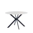 Talia Dining Table - 4 Seater - 120cm - Round - Spider Legs - Italy White Sintered Stone