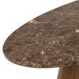 Dining Table - 210cm - 8 Seater - Oval - Brown - Marble and Mango Wood