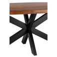 Gerard Dining Table - 210cm - 8 Seater - Oval - Star Base - Brown and Black - Acacia Wood
