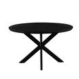 Jesper Dining Table - 120cm - 6 Seater - Round - Star Base - Black - Mango Wood