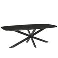 Jesper Dining Table - 230cm - 10 Seater - Star Base - Black - Mango Wood