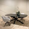 Jesper Dining Table - 230cm - 10 Seater - Star Base - Black - Mango Wood