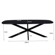 Jesper Dining Table - 230cm - 10 Seater - Star Base - Black - Mango Wood