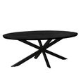 Jesper Dining Table - 240cm - 10 Seater - Oval - Star Base - Black - Mango Wood