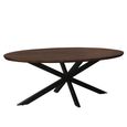 Jesper Dining Table - 240cm - 10 Seater - Oval - Star Base - Chestnut - Mango Wood