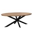 Jesper Dining Table - 240cm - 10 Seater - Oval - Star Base - Natural - Mango Wood