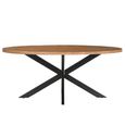 Rocky Dining Table - 240cm - 10 Seater - Oval - Star Base - Natural - Mango Wood