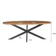Rocky Dining Table - 240cm - 10 Seater - Oval - Star Base - Natural - Mango Wood