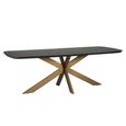 Cambon Dark Oak and Brass 12 Seater Dining Table with Spider Legs