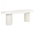 Bloomstone Dining Table - 230cm - 10 Seater - Double Pedestal - White