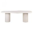 Bloomstone Dining Table - 230cm - 10 Seater - Double Pedestal - White