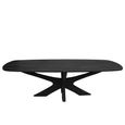 Montereux Dining Table - 250cm - 10 Seater - Oval - Spider Legs - Charcoal - Mango Wood