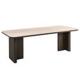 Nando Dining Table - 270cm - 10 Seater - Double Pedestal - Brown - Ceramic and Oak