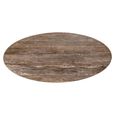 Russo Dining Table - 235cm - 10 Seater - Ellipse - Ash Brown - Travertine Top and Aluminum