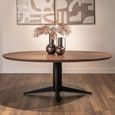 Stafford Dining Table - 230cm - 10 Seater - Oval - Spicebrown and Black - Mango Wood and Metal