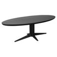 Rayford Dining Table - 230cm - 10 Seater - Oval - Black - Oak and Metal