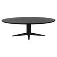 Rayford Dining Table - 230cm - 10 Seater - Oval - Black - Oak and Metal