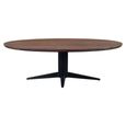 Stafford Dining Table - 230cm - 10 Seater - Oval - Spicebrown and Black - Mango Wood and Metal