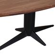 Stafford Dining Table - 230cm - 10 Seater - Oval - Spicebrown and Black - Mango Wood and Metal