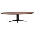 Stafford Dining Table - 280cm - 12 Seater - Oval - Spicebrown and Black - Mango Wood and Metal