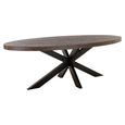 Watson Dining Table - 235cm - 10 Seater - Oval - Spider Leg - Dark Brown and Black - Oak and Metal
