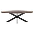 Watson Dining Table - 235cm - 10 Seater - Oval - Spider Leg - Dark Brown and Black - Oak and Metal