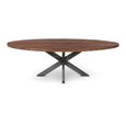 Leandro Industrial Dining Table - 240cm - 10 Seater - Oval - Spider Legs - Brown and Black - Teak Wood and Metal