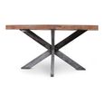 Leandro Industrial Dining Table - 240cm - 10 Seater - Oval - Spider Legs - Brown and Black - Teak Wood and Metal