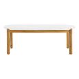 Terracina Outdoor Dining Table - 210cm - 8 Seater - Oval - White and Natural - Terrazzo and Acacia Wood