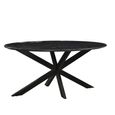 Dining Table - 180cm - 6 Seater - Oval - Spider Legs - Black - Marble